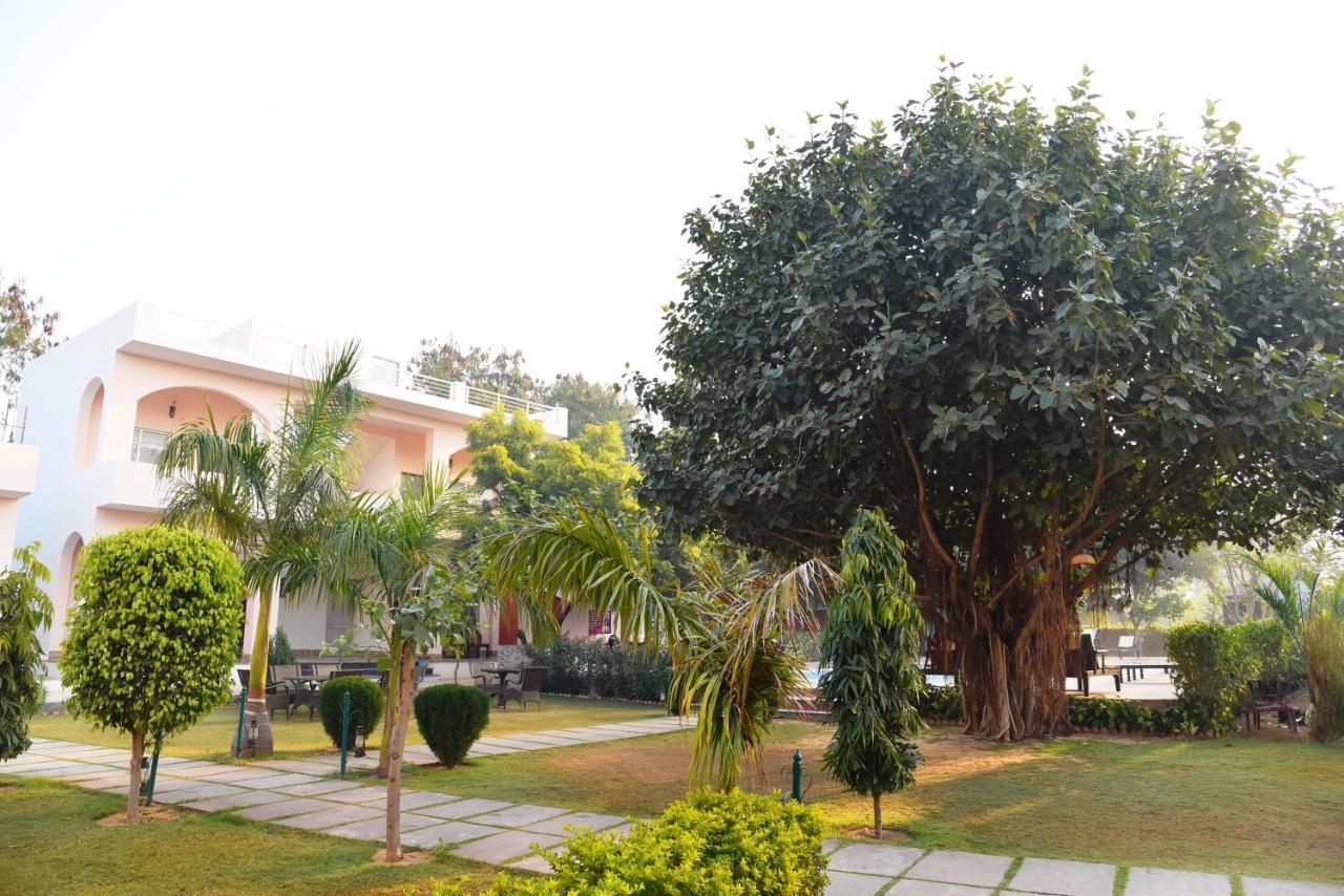 The Shergarh Sawai Madhopur Bagian luar foto