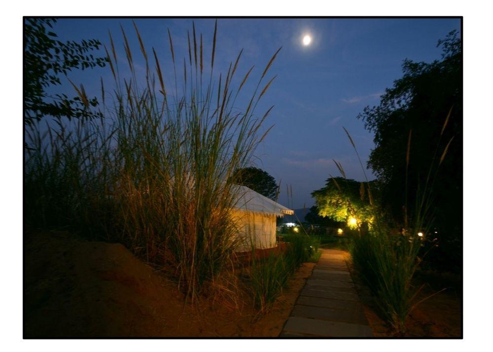 The Shergarh Sawai Madhopur Bagian luar foto